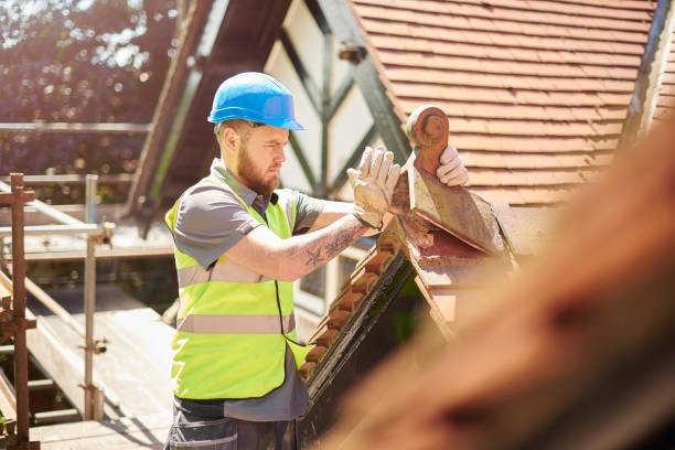 Best Roof Gutter Cleaning  in Saylorsburg, PA